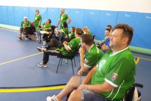 Boccia liga páry a tímy BA 2014